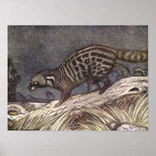Amerikanischer Civet by Louis Sargent, Vintage Ani Poster