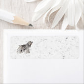 Amerikanischer Cocker Spaniel (Insitu)