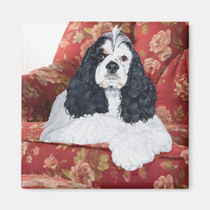 Amerikanischer Cocker Spaniel im roten Sessel Magnet