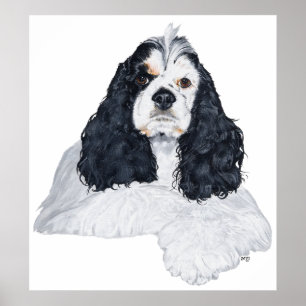 Amerikanischer Cocker Spaniel Poster
