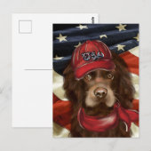 Amerikanischer Cocker Spaniel Postkarte (Vorne/Hinten)