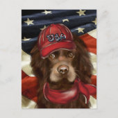 Amerikanischer Cocker Spaniel Postkarte (Vorderseite)