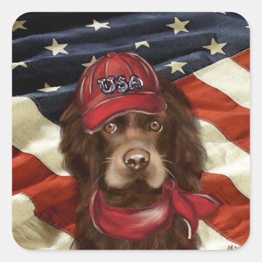 Amerikanischer Cocker Spaniel Quadratischer Aufkleber (Vorderseite)