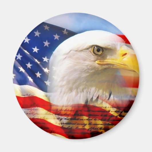 AMERIKANISCHER ELER MAGNET (Vorne)