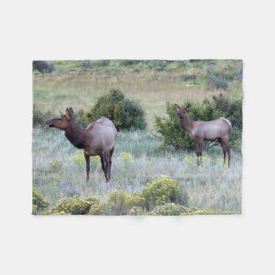 Amerikanischer Elk Colorado Fleecedecke