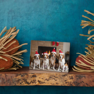 Amerikanischer Englisch Foxhound Kamin Weihnachten Fotoplatte