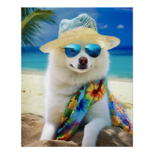 Amerikanischer Eskimo am Strand, Sommergeschenk fü Poster