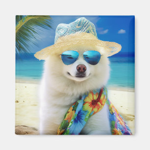 Amerikanischer Eskimo auf dem Strand, Sommergesche Magnet