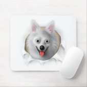 Amerikanischer Eskimo, der heraus sprengt Mousepad (Mit Mouse)