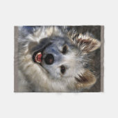 Amerikanischer Eskimo Fleecedecke (Vorderseite (Horizontal))