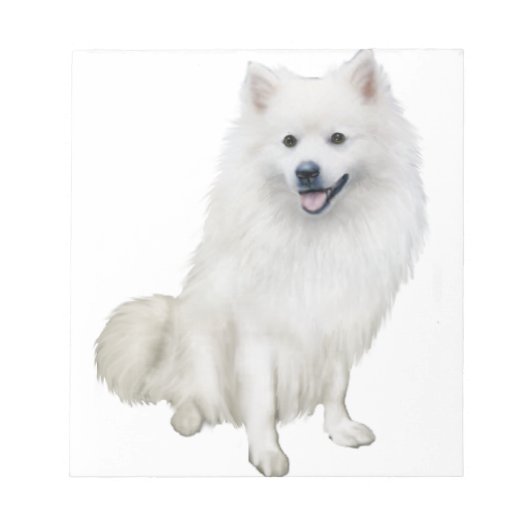 Amerikanischer Eskimo-Hund (A) Notizblock (Vorderseite)