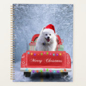 Amerikanischer Eskimo Hund im Schnee sitzen zu Wei Planer (Vorderseite)