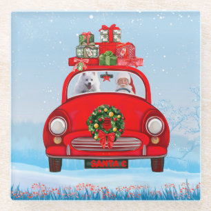 Amerikanischer Eskimo Hund in Auto mit dem Weihnac Glasuntersetzer