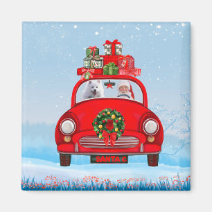 Amerikanischer Eskimo Hund in Auto mit dem Weihnac Magnet