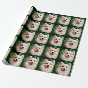 Amerikanischer Eskimo-Hund in St. Patrick’s Day-Kl Geschenkpapier