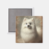 Amerikanischer Eskimo-Hund Magnet (Vorderseite/Rückseite)
