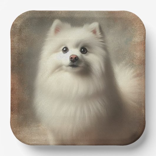 Amerikanischer Eskimo-Hund Pappteller (Vorderseite)