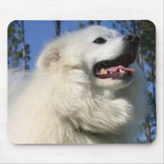 Amerikanischer Eskimohund Mousepad