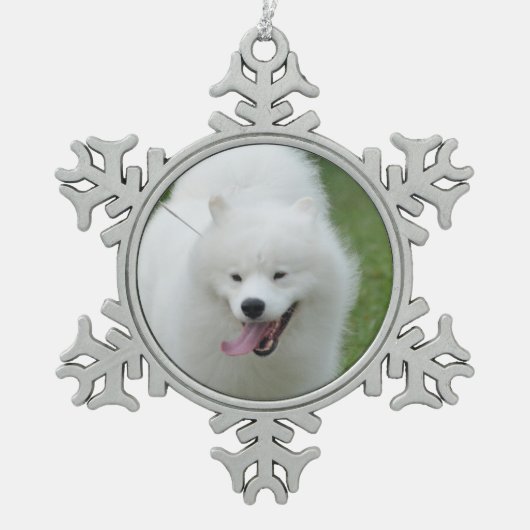 Amerikanischer Eskimohund Schneeflocken Zinn-Ornament (Vorderseite)