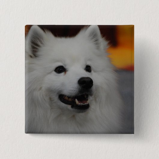 Amerikanischer Eskimohundeknopf Button (Vorderseite)