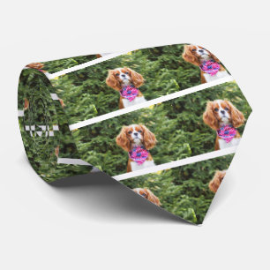 Amerikanischer Flagge Cavalier King Charles Spanie Krawatte