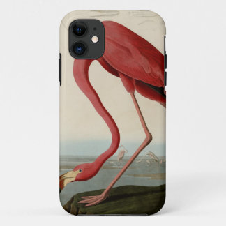 Amerikanischer Flamingo iPhone 11 Hülle