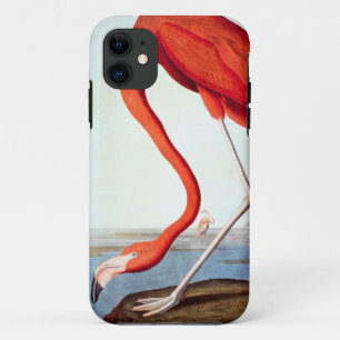 Amerikanischer Flamingo iPhone 11 Hülle