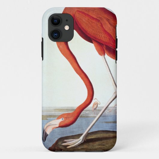 Amerikanischer Flamingo Case-Mate iPhone Hülle (Rückseite)