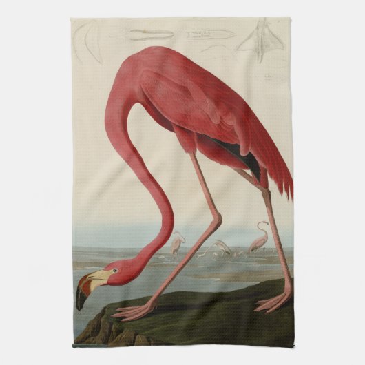 Amerikanischer Flamingo Küchentuch (Vertikal)