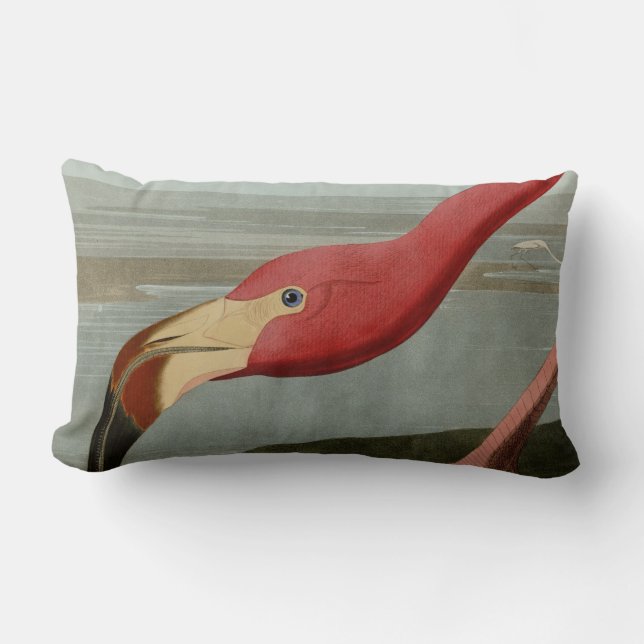 Amerikanischer Flamingo Lendenkissen (Vorderseite)