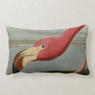 Amerikanischer Flamingo Lendenkissen