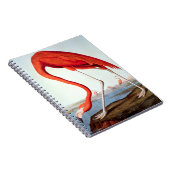 Amerikanischer Flamingo Notizblock (Rechte Seite)