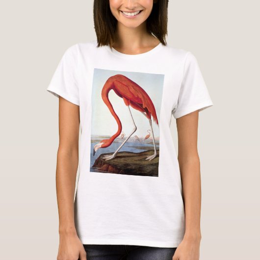 Amerikanischer Flamingo T-Shirt (Vorderseite)