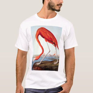 Amerikanischer Flamingo T-Shirt