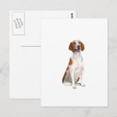 Amerikanischer Foxhound (A) Postkarte (Vorne/Hinten)