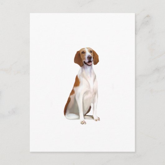 Amerikanischer Foxhound (A) Postkarte (Vorderseite)