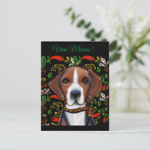 Amerikanischer Foxhound  Postkarte