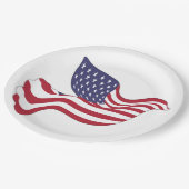 AMERIKANISCHER FRIEDENSABSCHLUSS PAPPTELLER (Schrägansicht)