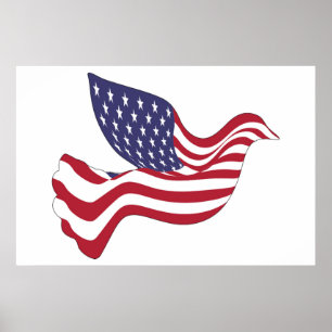 AMERIKANISCHER FRIEDENSABSCHLUSS POSTER
