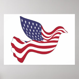 AMERIKANISCHER FRIEDENSABSCHLUSS POSTER