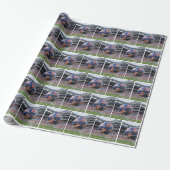 Amerikanischer Fußball im Netz Geschenkpapier (Ungerollt)