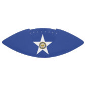 Amerikanischer Fußball unter der Flagge von Housto Football (Panel)