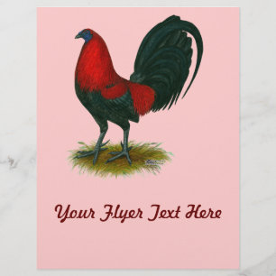 Amerikanischer Gamecock: Braunrot Flyer