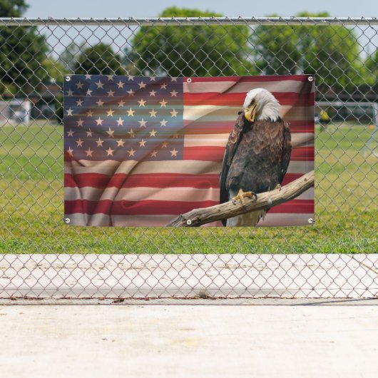 Amerikanischer Geist Banner (Insitu)