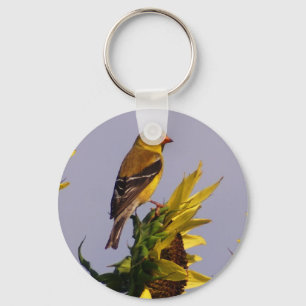 Amerikanischer Goldfinch auf Sonnenblume Schlüsselanhänger
