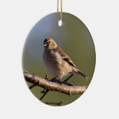 Amerikanischer Goldfinch im Wintergefieder Keramik Ornament (Rechts)