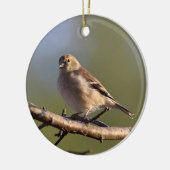 Amerikanischer Goldfinch im Wintergefieder Keramik Ornament (Links)