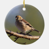 Amerikanischer Goldfinch im Wintergefieder Keramik Ornament (Hinten)