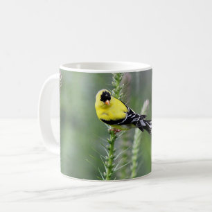 Amerikanischer Goldfinch Kaffeetasse