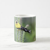 Amerikanischer Goldfinch Kaffeetasse (Mittel)